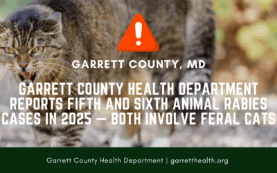 Garrett County Health Department Reports Fifth and Sixth Animal Rabies Cases in 2025 — Both Involve Feral Cats