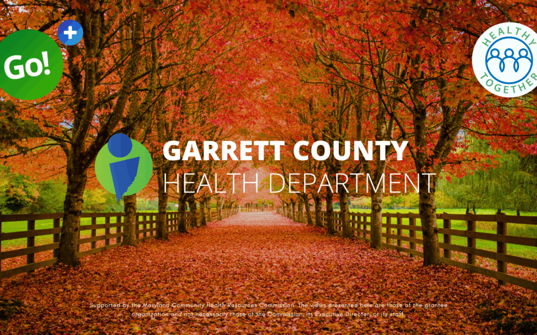 Featured Today on Go!+ – Fall/Winter Physical Activity Funding Awards Available