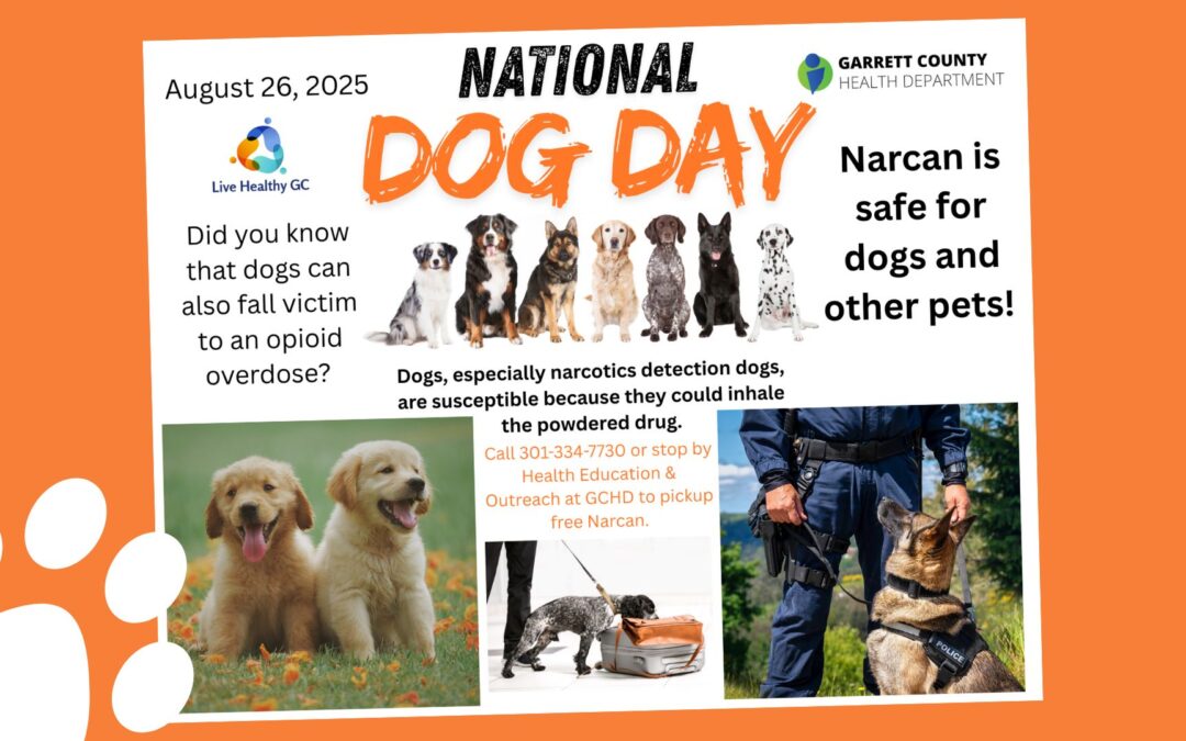 Today is National Dog Day (8/26)!