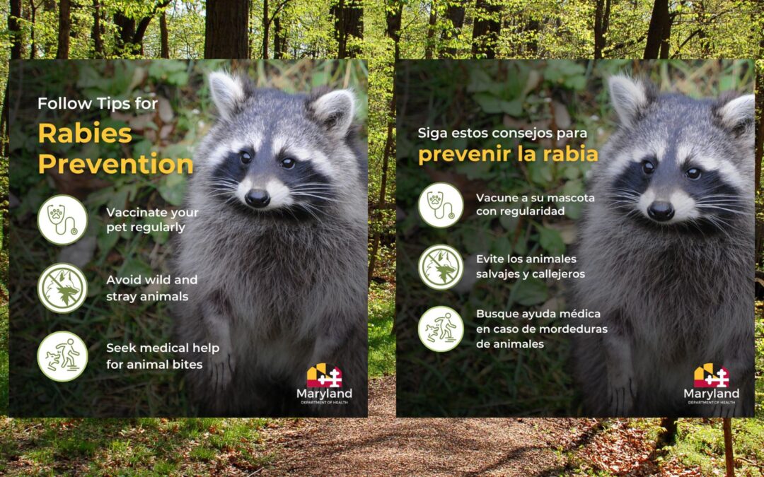 MDH Rabies Prevention Tips