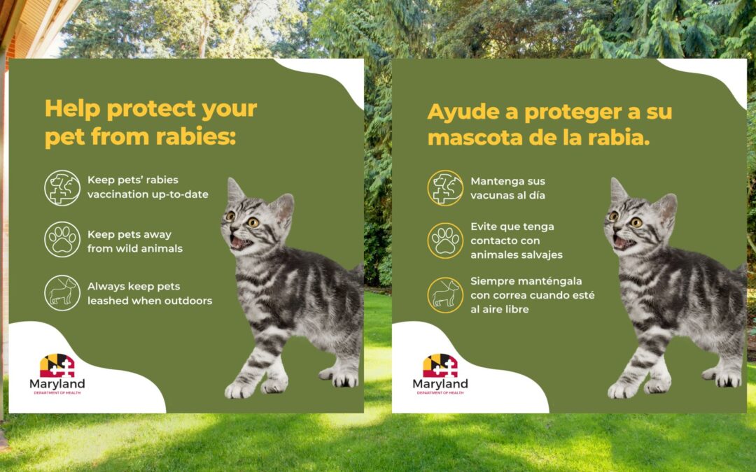 Rabies Prevention