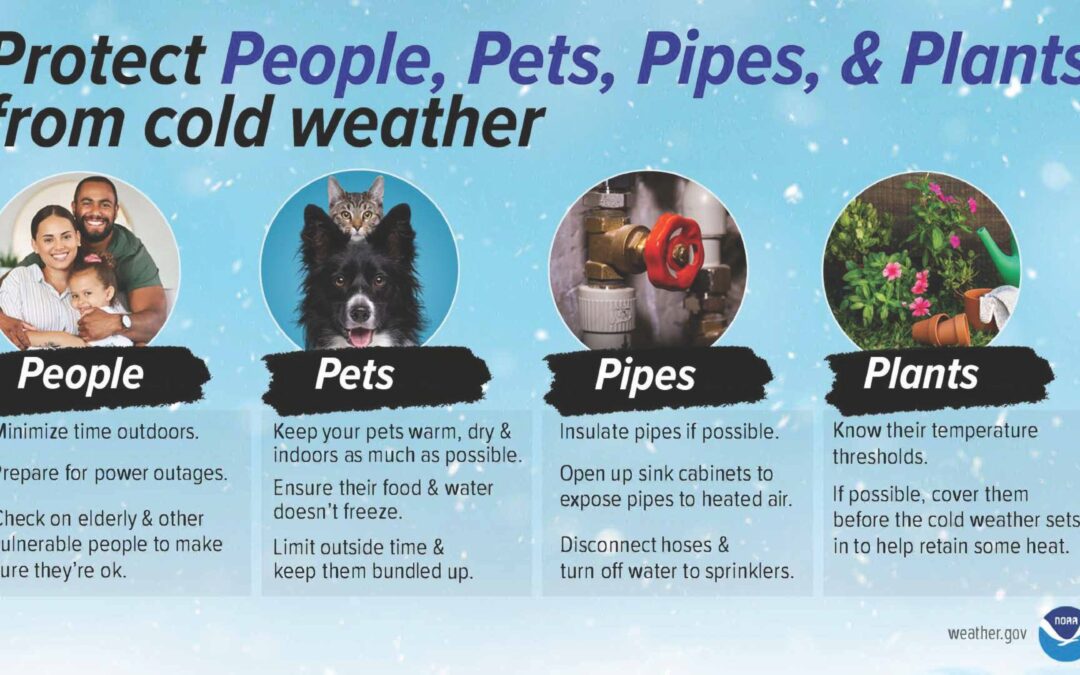 Reminder! – Protect People, Pets, Pipes, & Plants From Cold Weather