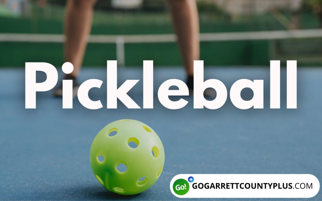 Featured Today on Go!+ – Ditch the Cold, Grab a Paddle: Your Indoor Pickleball Fun Starts NOW!