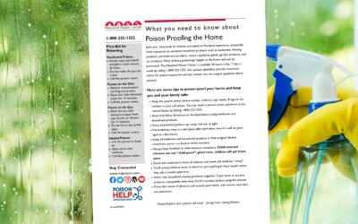 What You Need To Know About Poison Proofing The Home