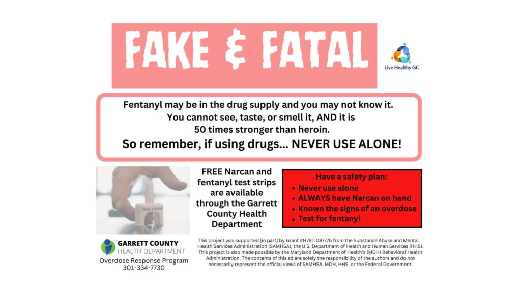 Fake and Fatal Ad Banner - Header