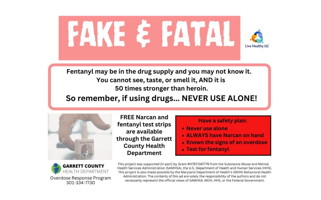 Fake and Fatal Ad Banner - Header
